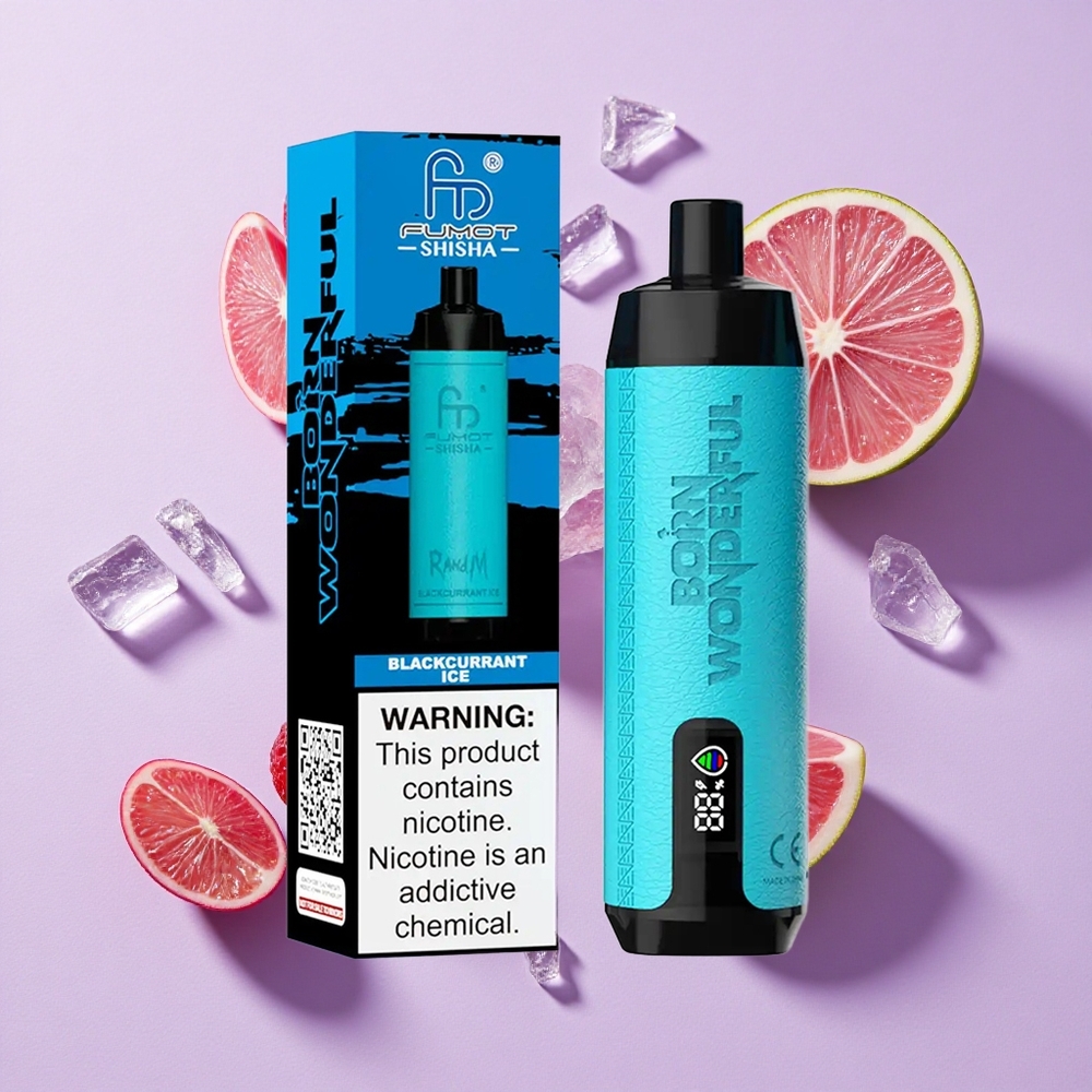 Czarna Porzeczka Lód RandM Fumot 10000 Puffs Typ-C Poland vape wholesale
