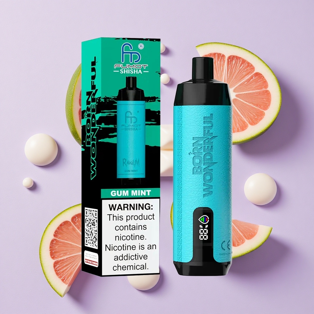 Miętowa Guma RandM Fumot Shisha 10000 Puffs LED Poland vape wholesale